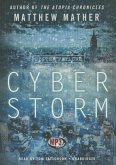 Cyberstorm