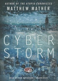 Cyberstorm - Mather, Matthew