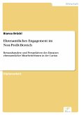Ehrenamtliches Engagement im Non-Profit-Bereich (eBook, PDF)