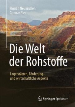 Die Welt der Rohstoffe - Neukirchen, Florian;Ries, Gunnar