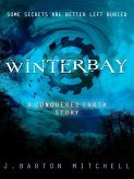 Winterbay (eBook, ePUB)