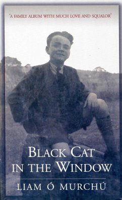 Black Cat in the Window (eBook, ePUB) - Ó Murchú, Liam