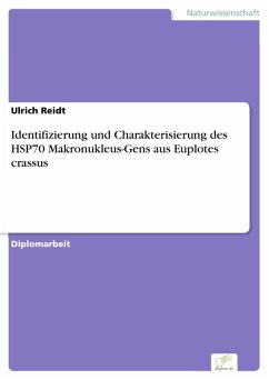 Identifizierung und Charakterisierung des HSP70 Makronukleus-Gens aus Euplotes crassus (eBook, PDF) - Reidt, Ulrich