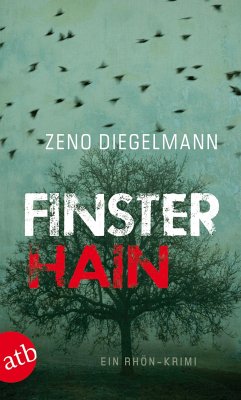 Finsterhain / Kommissar Seeberg Bd.2 - Diegelmann, Zeno
