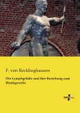 Die Lymphgefäße und ihre Beziehung zum Bindegewebe