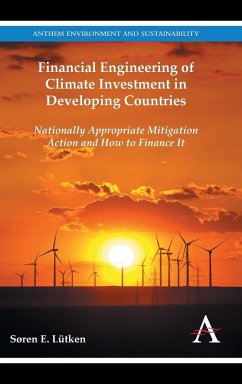 Financial Engineering of Climate Investment in Developing Countries - Lütken, Søren E.