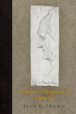 Cover Goethe's Allegories of Identity