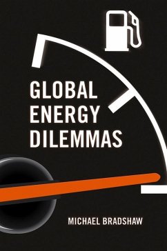Global Energy Dilemmas (eBook, PDF) - Bradshaw, Mike