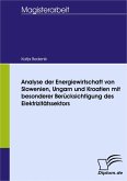 Analyse der Energiewirtschaft von Slowenien, Ungarn und Kroatien mit besonderer Berücksichtigung des Elektrizitätssektors (eBook, PDF)