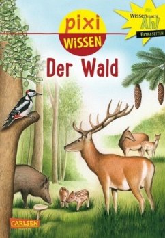 Der Wald / Pixi Wissen Bd.36 - Borowski, Bianca