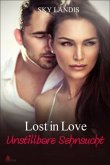 Lost in Love - Unstillbare Sehnsucht / Agent Lovers Bd.4