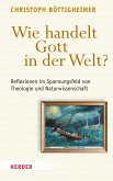 Gottes Handeln in der Welt (eBook, ePUB)