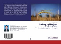 Study on Yield Related Traits in Wheat