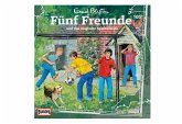 Fünf Freunde und das magische Spinnennetz / Fünf Freunde Bd.105 (1 Audio-CD)