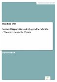 Soziale Diagnostik in der Jugendberufshilfe - Theorien, Modelle, Praxis (eBook, PDF)