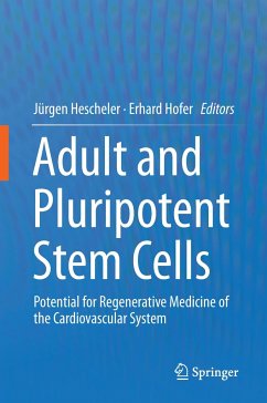 Adult and Pluripotent Stem Cells