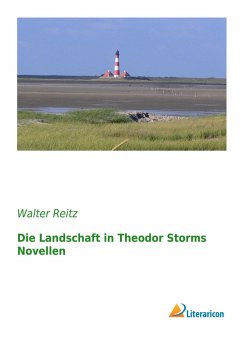 Die Landschaft in Theodor Storms Novellen - Reitz, Walter