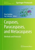 Caspases,Paracaspases, and Metacaspases