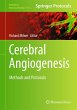 Cerebral Angiogenesis - Bild 1