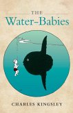 The Water-Babies (eBook, PDF)