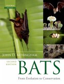 Bats (eBook, PDF)