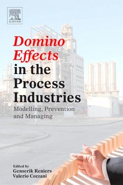 Cover Domino Effects in the Process Industries (eBook, ePUB)