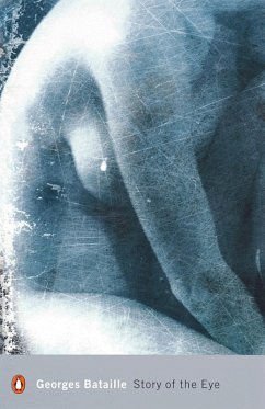 Cover Story of the Eye (eBook, ePUB)