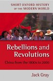 Rebellions and Revolutions (eBook, PDF)
