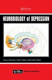 Neurobiology of Depression (eBook, PDF)