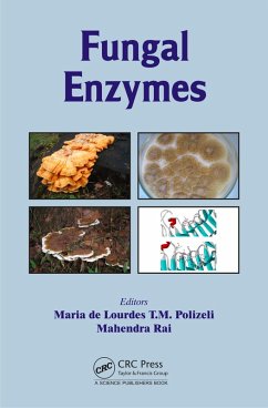 Cover Fungal Enzymes (eBook, PDF)