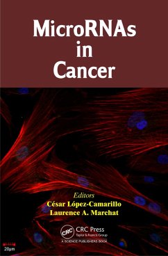 MicroRNAs in Cancer (eBook, PDF) Cover MicroRNAs in Cancer (eBook, PDF)