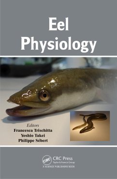 Cover Eel Physiology (eBook, PDF)