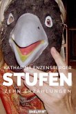 Stufen (eBook, ePUB)