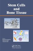 Stem Cells and Bone Tissue (eBook, PDF)