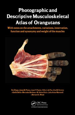 Cover Photographic and Descriptive Musculoskeletal Atlas of Orangutans (eBook, PDF)