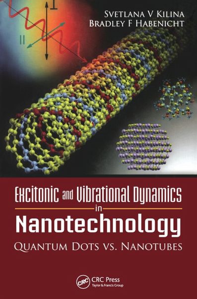 Excitonic and Vibrational Dynamics in Nanotechnology (eBook, PDF) Excitonic and Vibrational Dynamics in Nanotechnology (eBook, PDF)