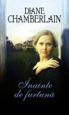 Înainte de furtună (eBook, ePUB)