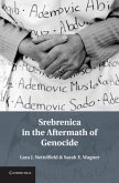 Srebrenica in the Aftermath of Genocide (eBook, PDF)