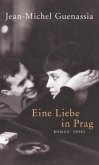 Eine Liebe in Prag