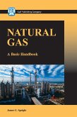 Natural Gas (eBook, ePUB)