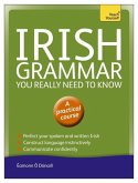 Irish Grammar You Really Need to Know: Teach Yourself (eBook, ePUB)