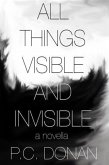All Things Visible and Invisible (eBook, ePUB)