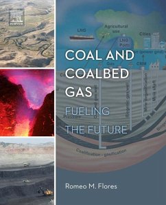 Coal and Coalbed Gas (eBook, ePUB) - Flores, Romeo M.