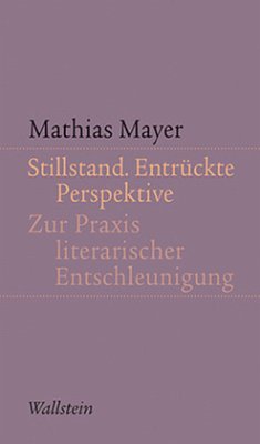 Stillstand. Entrückte Perspektive - Mayer, Mathias