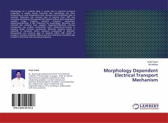 Morphology Dependent Electrical Transport Mechanism