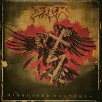 Disguised Vultures Disguised Vultures