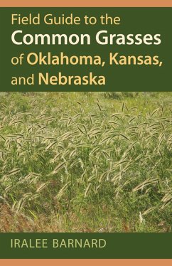 Cover Field Guide to the Common Grasses of Oklahoma, Kansas, and Nebraska
