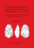 Variabilité et signification des productions lithiques au Paléolithique moyen ancien