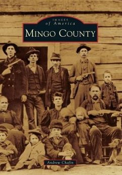 Mingo County - Chafin, Andrew