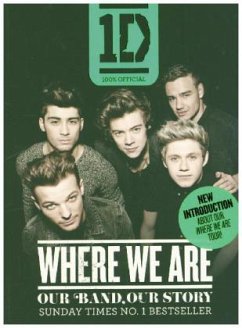 Cover One Direction: Where We Are (100% Official)